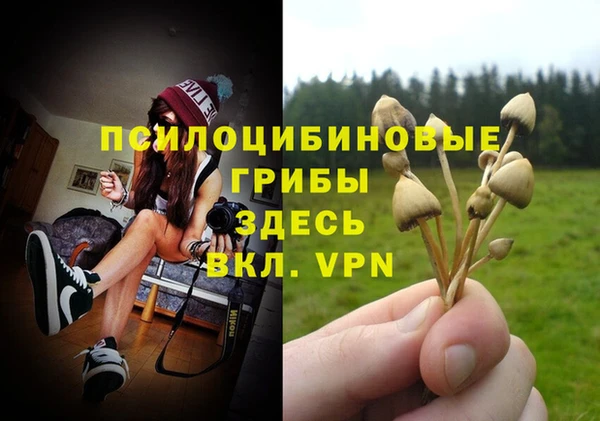 дмт Алексин