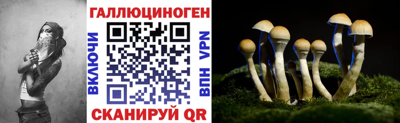 Галлюциногенные грибы Psilocybe  blacksprut tor  Шиханы 